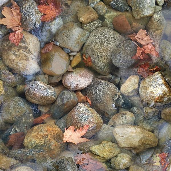 Call of The Wild River Rocks