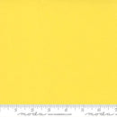 Bella Solids Yellow Daffodil
