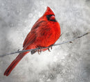 Red Cardinal against gray sky