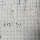 Off White w Aqua flowers in rows Horticulture