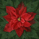 Panel 44" Giant Red Poinsettia