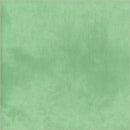 Palette Solid Blueish Green