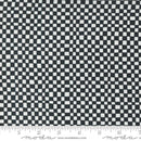 Abstract Black & White Check