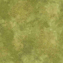 Shimmer, Olive, Moss