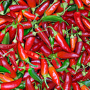 Red Green chile peppers
