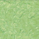 1895 Parsley green, Lt  Med