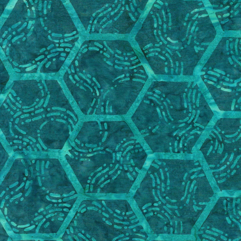 Teal Hexagon on Dark Teal