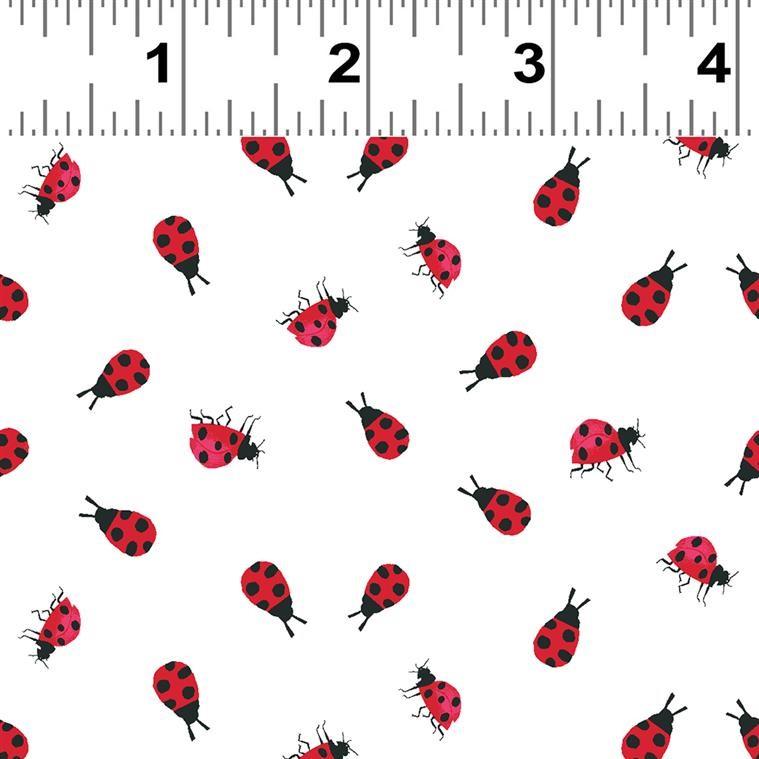 Lady Bugs on White