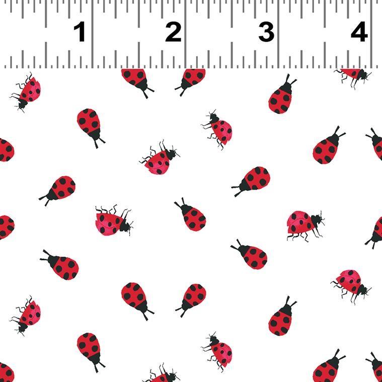 Lady Bugs on White