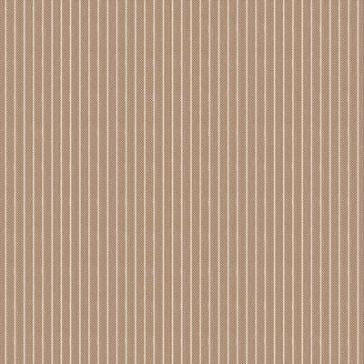 Woven Tan Stripe on Brown