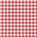 Woven Red & White Gingham