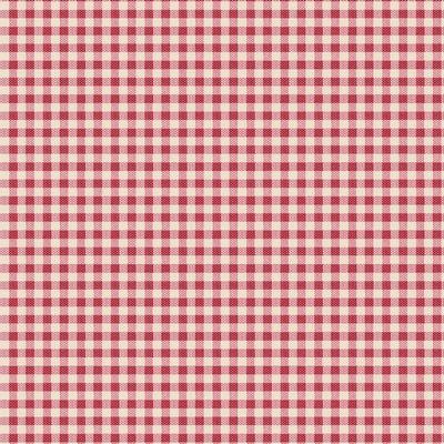 Woven Red & White Gingham