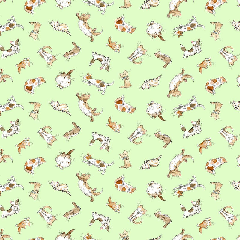 Brown & White Kittens on Green