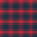 Flannel Blue and Red Plaid
