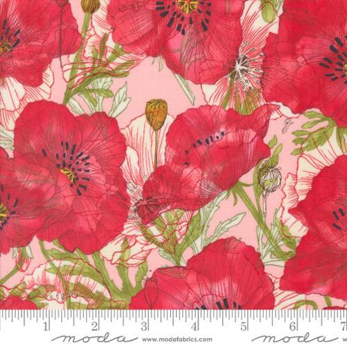 Red Poppies on Pink Scattered