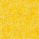 Cheddar Dots on Bright Yellow