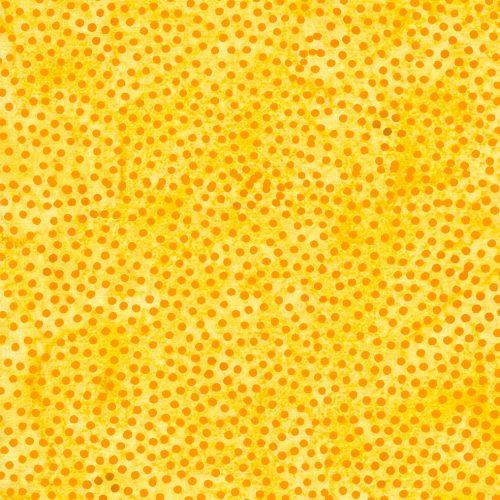 Cheddar Dots on Bright Yellow