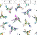 Flying Hummingbirds on White