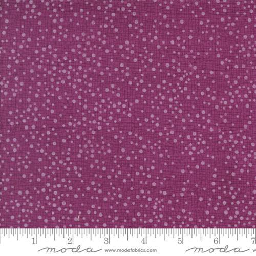 Dotty Thatched Dahlia