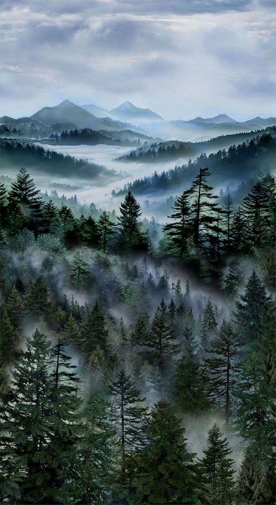 Misty Mountain Panel 24"