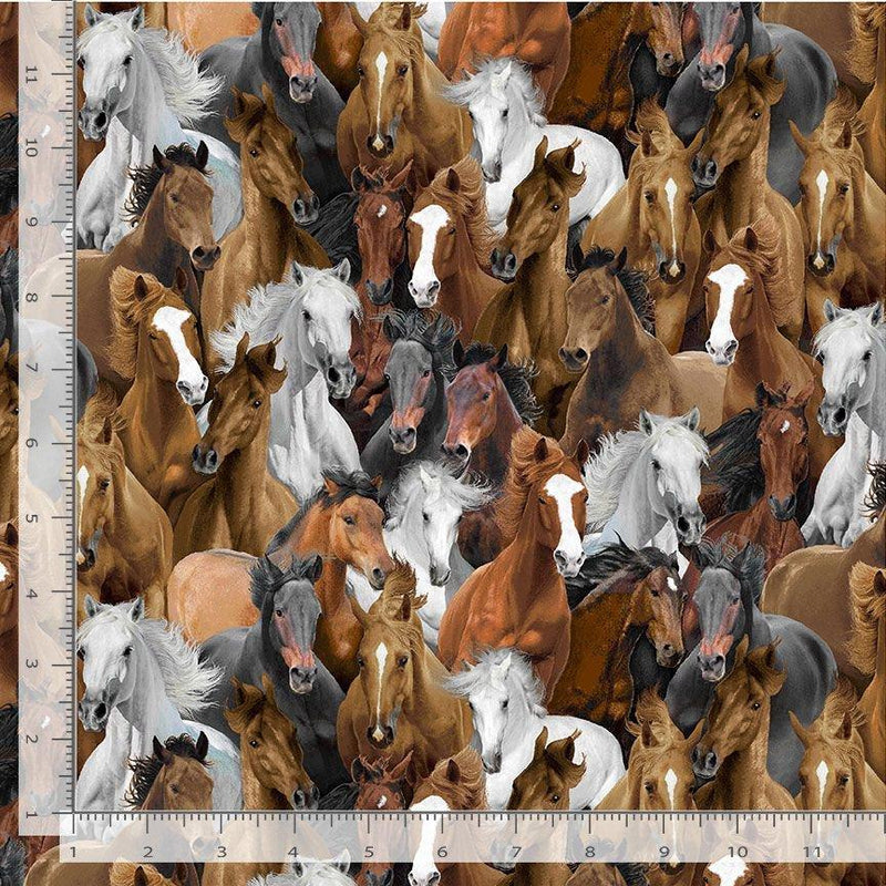 Packed Horses, Wild Horses
