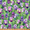 Purple Iris on Green Field