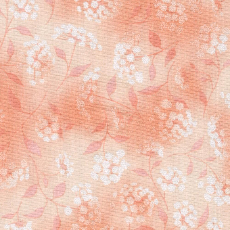 Peach w White Glowing Flowers