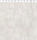 White w Gray Screen Texture