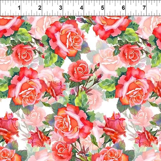 Red & Pink Roses on White