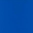 Satin Ribbon 7/8" 21 ft. Blue