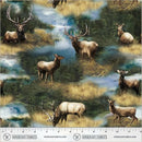 Elk Bucks & Does in Marsh
