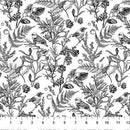 White w Black Birds & Fauna