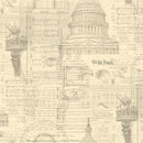 U.S. Capital & Patriotic Text