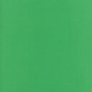 Satin Ribbon 5/8" 21 ft Green