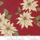 Red w White Poinsettias