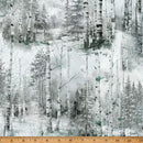 Gray Aspen Snow Scene Fog