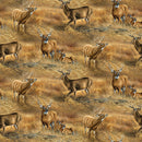 Brown Deers in the Grass Field