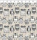 Big Eyed Owls on Taupe