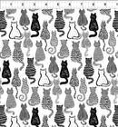 Black & White Cats on White