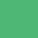 Solid Picnic Green