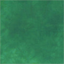 This Green Palette Flannel