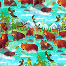 Bears Moose Eagles in Water