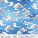 Mixed Blue Sky w White Clouds