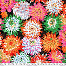 Kaffe Black w Large Cactus Dahlia