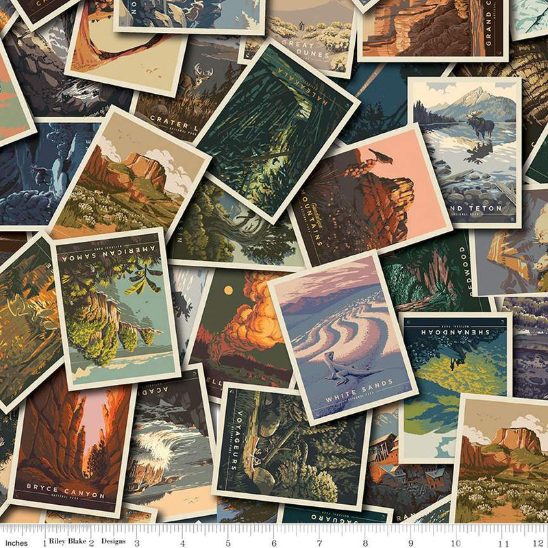 National Parks Postcard Tossed Multi