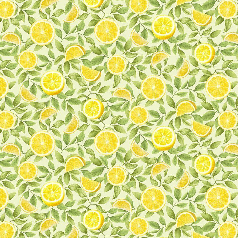 Lemon Slices on Yellow Green Leaves