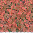 Fittonia Red Green & Brown