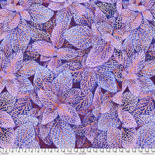 Fittonia Blue Purple & Red w Orange Veins