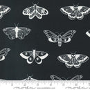 Mystic Moths on Black, Webbed Appox. 1.5" wide