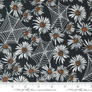 Orange White Daisies with Spider Webs on Black